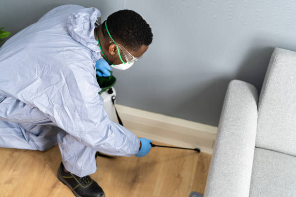 Professional Pest Control in Truckee, CA